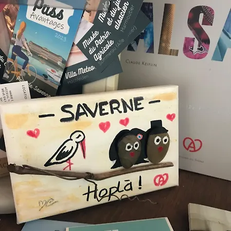 Casasavernoise O Sonho Appart2 Saverne Esterno foto